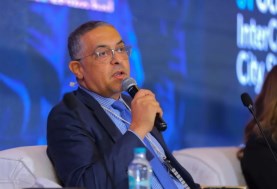 حسام هيبة- الرئيس التنفيذي لهيئة الاستثمار