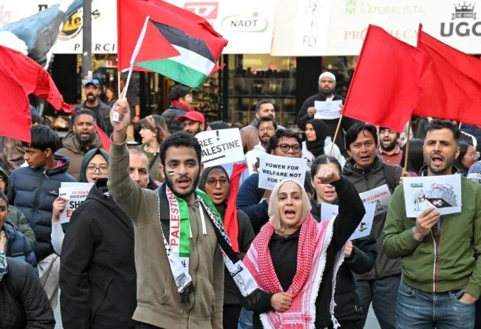 وقفات احتجاجية تضامنا مع فلسطين 