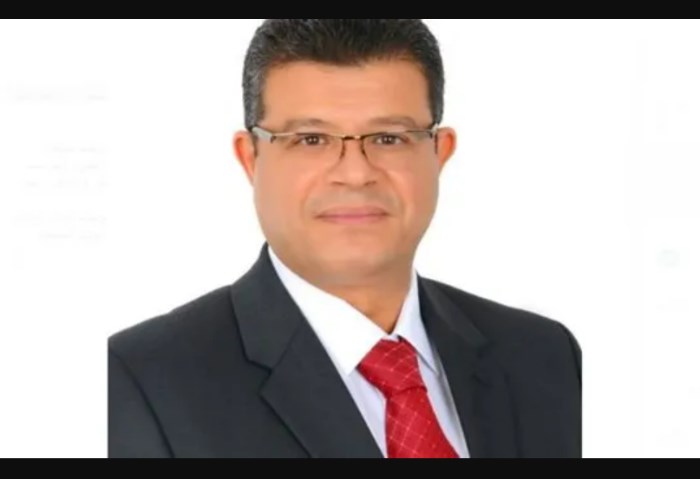 د. محمد السيد سليمان