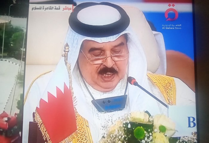 ملك البحرين 