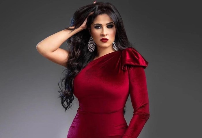 الفنانه ياسمين عبدالعزيز