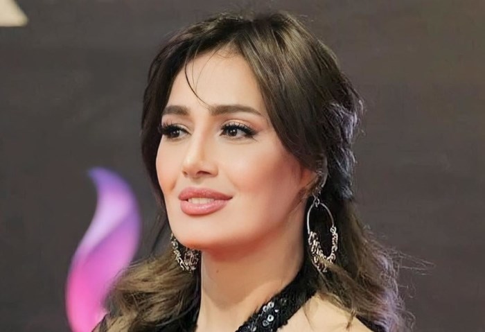 الفنانة حلا شيحة