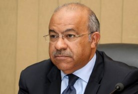 الدكتور إبراهيم عشماوي
