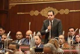  أحمد فوزي عضو مجلس الشيوخ