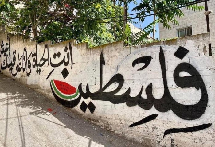 جدرية تعبر عن فلسطين