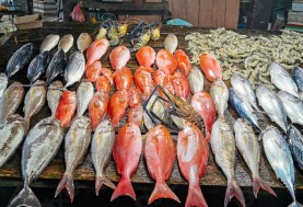 أسعار  الأسماك 