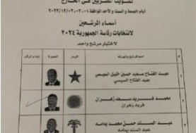 تصويت المصريين في الخارج 