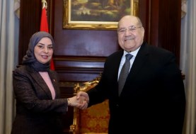 رئيس مجلس الشيوخ وسفيرة البحرين بالقاهرة
