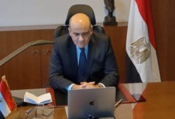السفير حاتم عبد القادر 