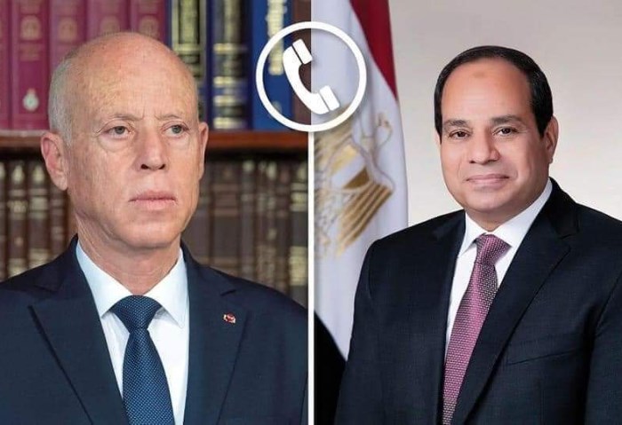 الرئيس السيسى ونظيره التونسى
