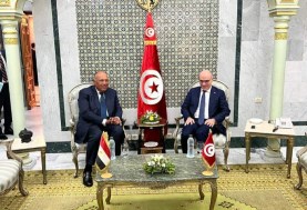 وزير الخارجية  ونظيره التونسى