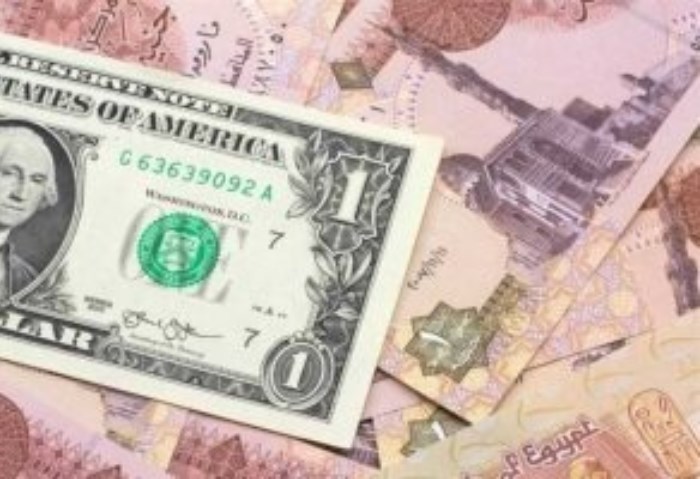 سعر الدولار مقابل الجنيه 