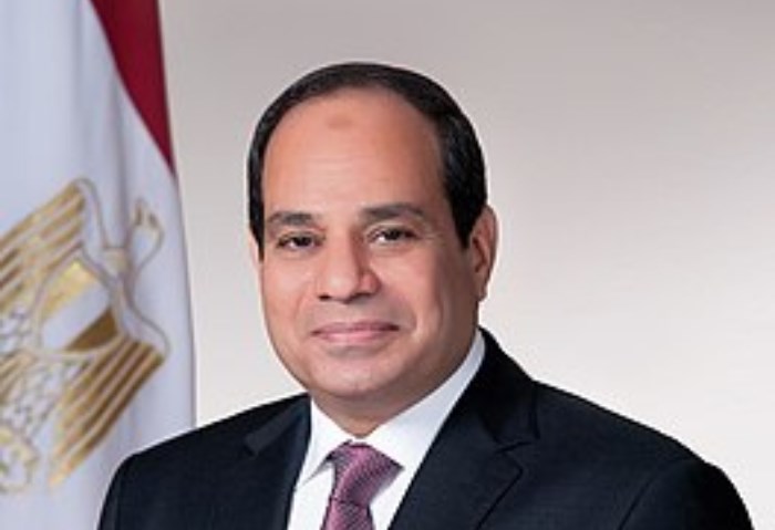 الرئيس السيسي 