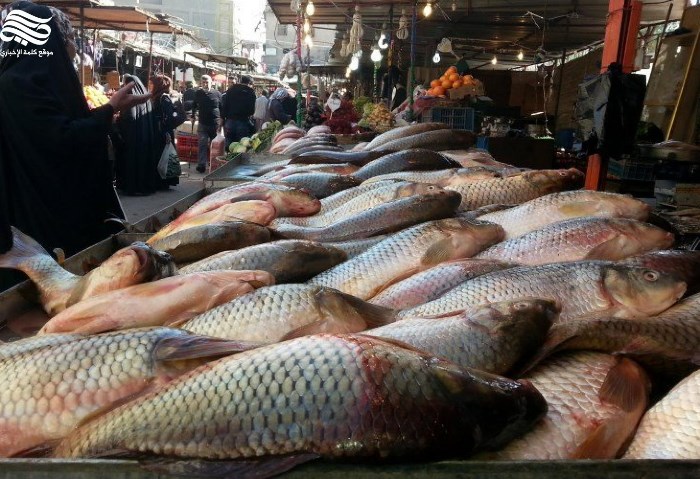 ارتفاع الانتاج والاستهلاك من الأسماك