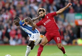  ليفربول وبرايتون