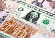 سعر الدولار مقابل الجنيه المصري 