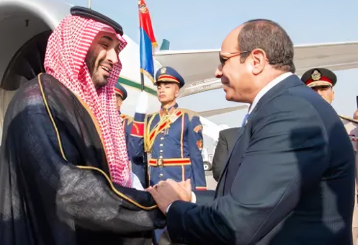 الرئيس السيسي وولي العهد السعودي 