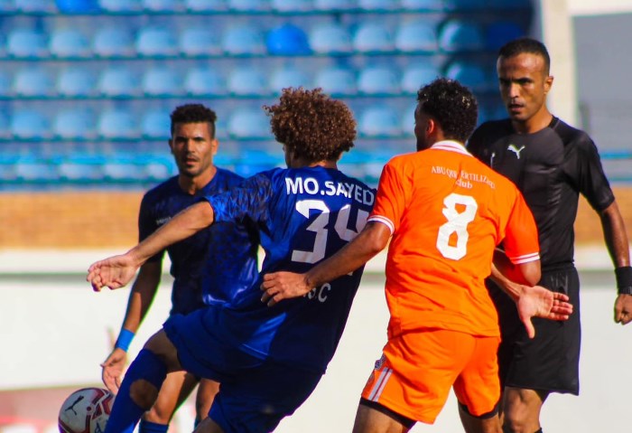 دوري المحترفين