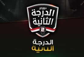 دوري المحترفين