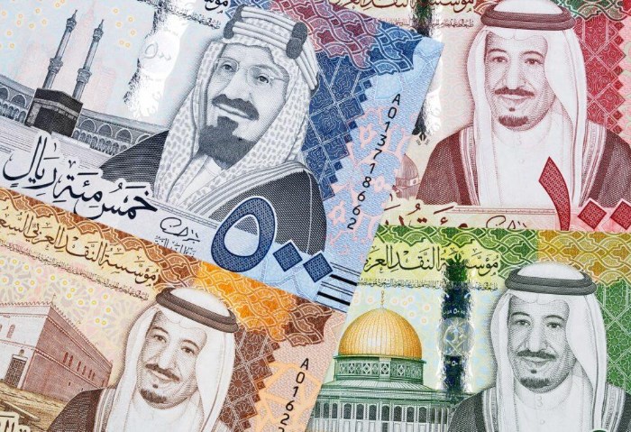 سعر الريال السعودي اليوم الثلاثاء