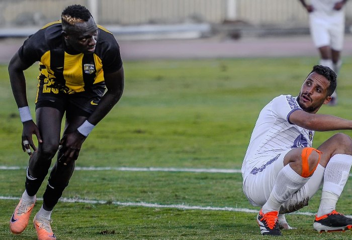 دوري المحترفين