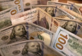 سعر الدولار اليوم الأحد