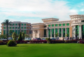 جامعة msa