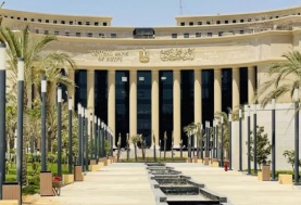 احتياطي النقد الأجنبي في مصر ، صورة البنك المركزي