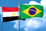 العلاقات المصرية - البرازيلية