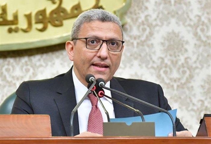  المستشار احمد سعد الوكيل الأول للمجلس