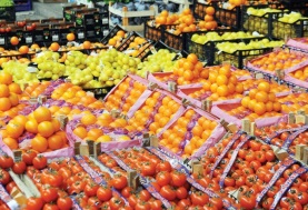 زيادة صادرات مصر من المنتجات الزراعية