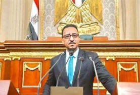 محمد عزت القاضى