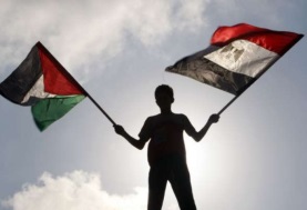 مصر تدعم فلسطين