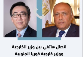 وزير الخارجية المصري ونظيره الكوري