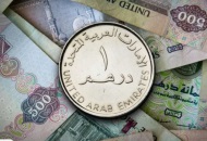 سعر الدرهم الإماراتي مقابل الجنيه المصري 