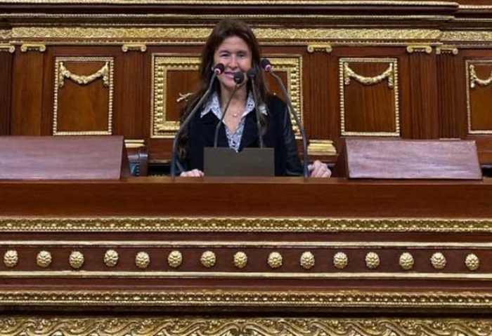 النائبة شيرين عليش عضو مجلس النواب