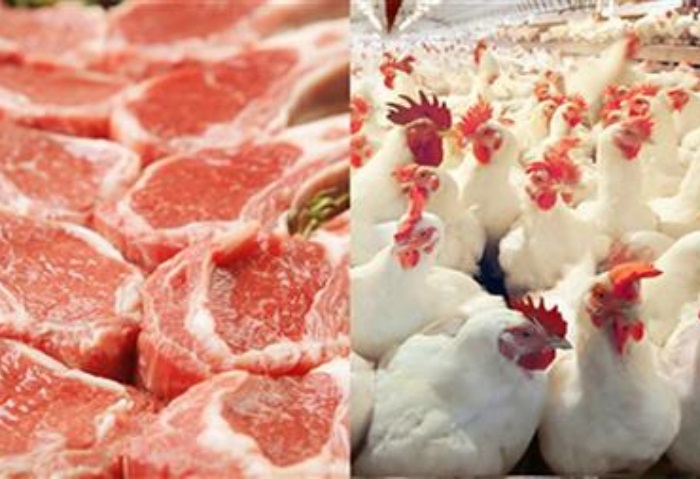 أسعار اللحوم والدواجن