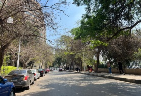 هدوء وأجواء ربيعية من الشوارع في إجازة عيد الفطر