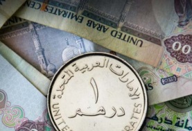 سعر الدرهم الاماراتي أمام الجنيه المصري 