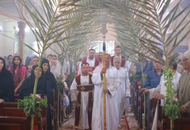 احتفالات الأقباط بعيد السعف من محافظة المنوفية