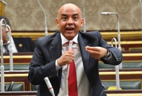 النائب عمرو هندي - عضو مجلس النواب عن المصريين بالخارج