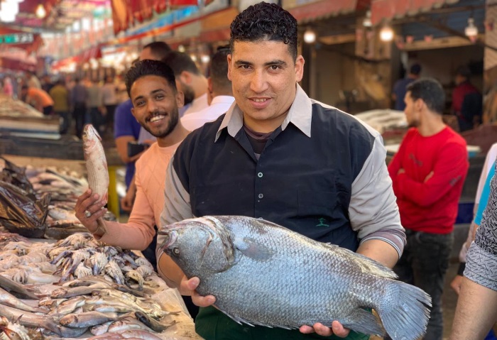 أرشيفية - سمك