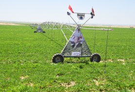مشروع مستقبل مصر للإنتاج الزراعي