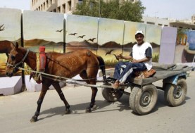 عربة كارو-صورة أرشيفية