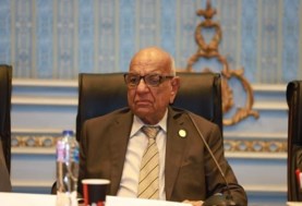 النائب عبدالخالق عياد، رئيس لجنة الطاقة والبيئة بمجلس الشيوخ