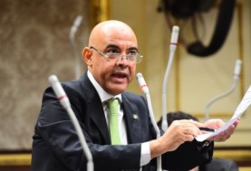 النائب عمرو هندي، عضو مجلس النواب عن المصريين بالخارج