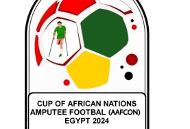  بطولة أمم أفريقيا لكرة القدم للساق الواحدة