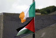 علم دولتي إيرلندا وفلسطين