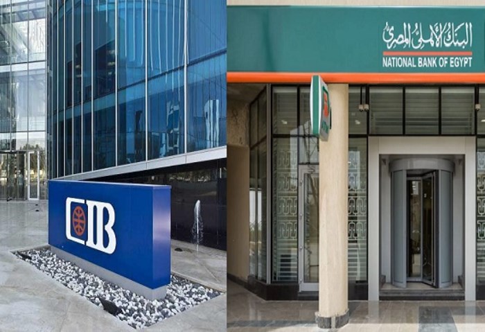 البنك الأهلي المصري وCIB