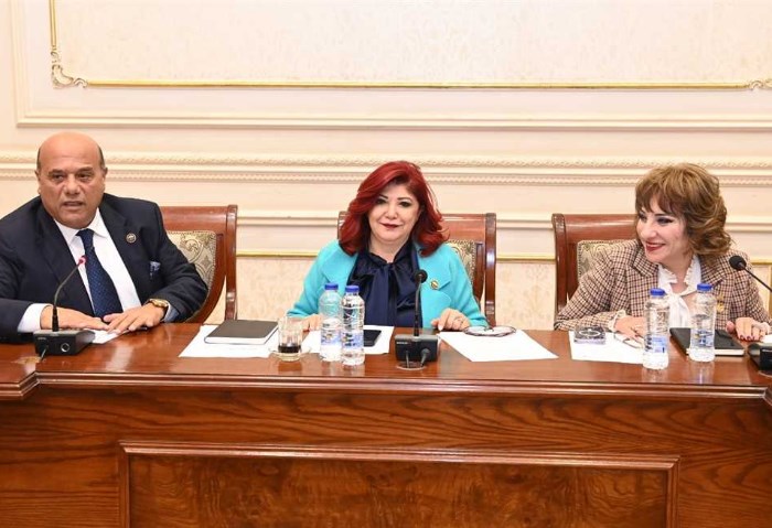 لجنة السياحة بمجلس النواب، برئاسة النائبة نورا علي